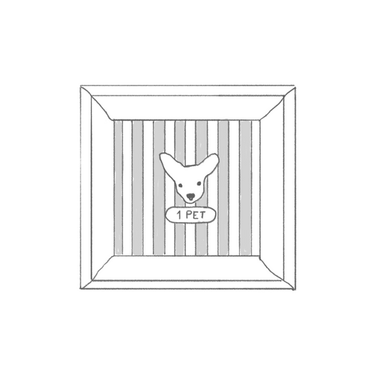 Custom Pet Portrait